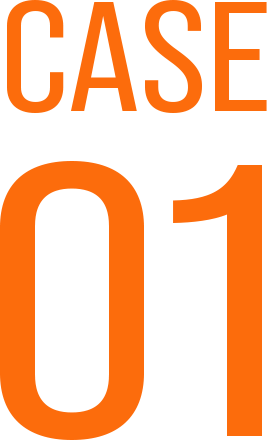 CASE01