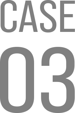 CASE03