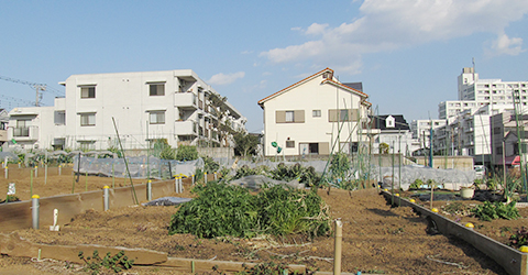 ウエムラの問題解決力