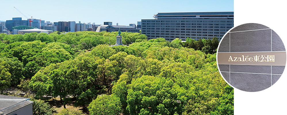東公園と「アザレ東公園」