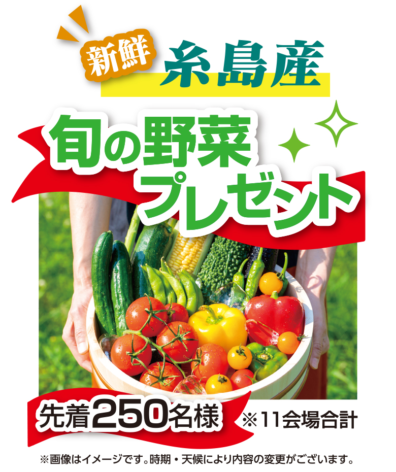 糸島産旬の野菜プレゼント